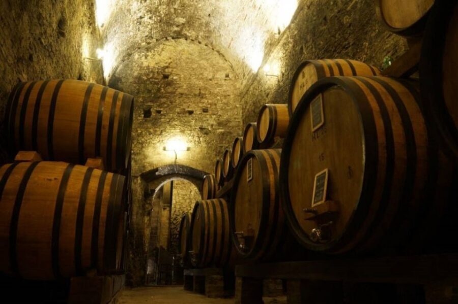 Montepulciano: Wine Tasting and Cellar Tour - Inside the barrel rooms: Slavonia oak and French wood