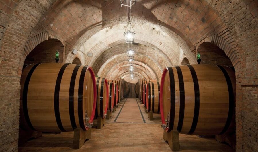 Montepulciano: Wine Tasting & Lunch in a Typical Winery - A 14th-Century Cellar Experience in Montepulciano