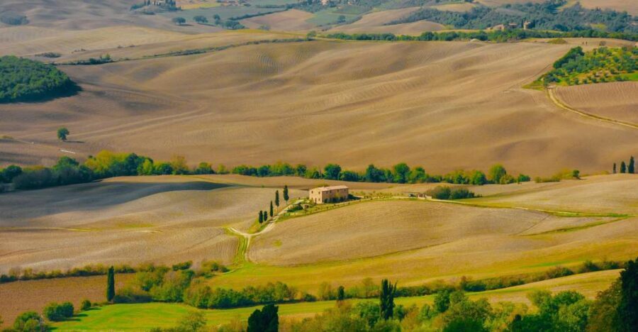 Montepulciano: Wine Tasting & Lunch in a Typical Winery - Tuscan Lunch in the Cellar: What You’ll Eat