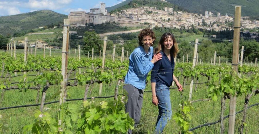 Pic nic Deluxe Assisi and wine tasting 5 wines - The vineyard walk: a slow stroll with stops that make sense