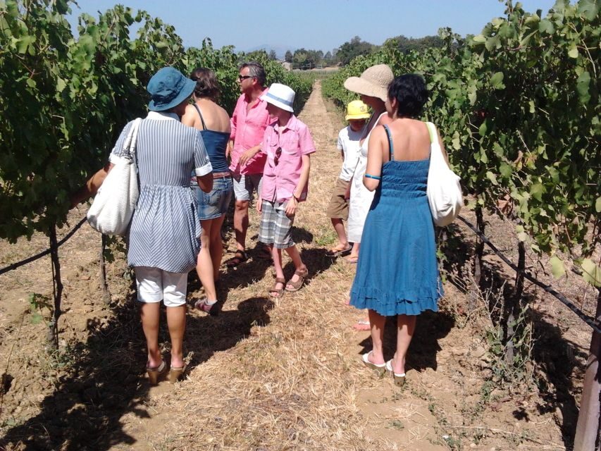 Pic nic Deluxe Assisi and wine tasting 5 wines - Timing, weather, and the muddy-shoes reality