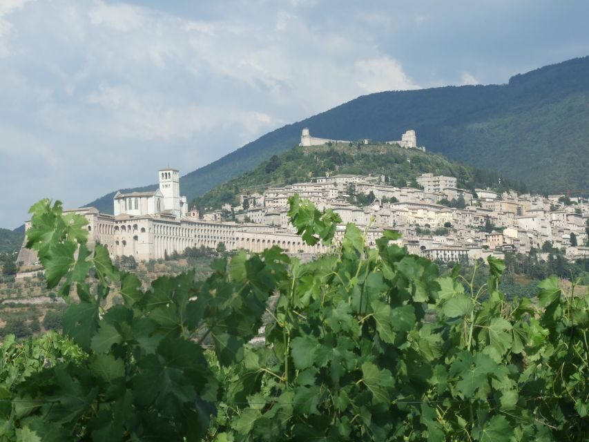 Pic nic Deluxe Assisi and wine tasting 5 wines - FAQ