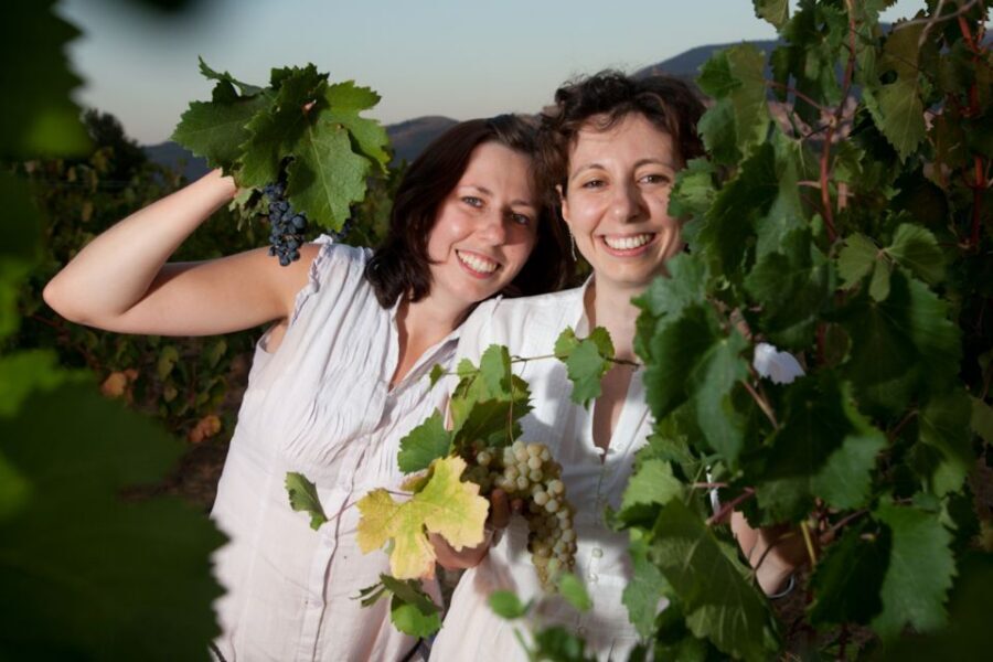 Pic nic Deluxe Assisi and wine tasting 5 wines - Your guided 5-wine tasting: what you’re actually learning