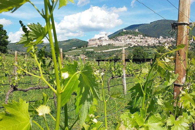 Pic nic Deluxe Assisi for 2 and wine tasting 5 wines - Key highlights worth marking on your map