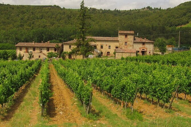 Pisa and Florence Private Tour from Livorno Port - The Tuscany Hills Drive: Short Break, Real Atmosphere