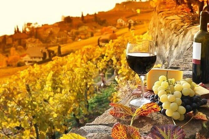 Pisa, Siena and San Gimignano Day Trip with Lunch & Wine Pairing - Time, Walking, and How to Keep Your Day Trip Stress Low