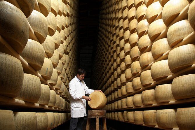 Private Emilia Romagna Food Tour Full Day - Key highlights you’ll feel on the day