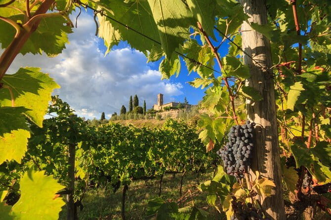 Private Tuscany Tour from Florence Including Siena, San Gimignano and Chianti Wine Region - Key points at a glance