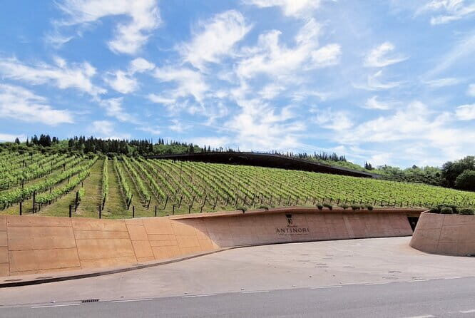 PRIVATE WINE TOUR TUSCANY Chianti Wineries, Expert English driver - Entering Chianti From Florence Without the Headaches