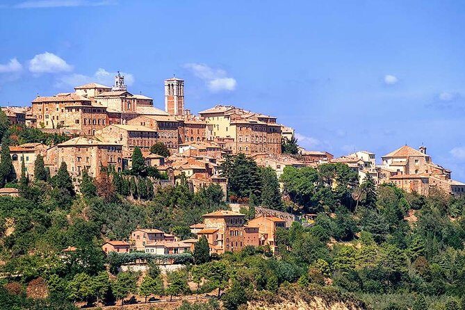 San Gimignano, Chianti, and Montalcino Day Trip from Siena - San Gimignano free time: towers, piazzas, and vernaccia wine shops