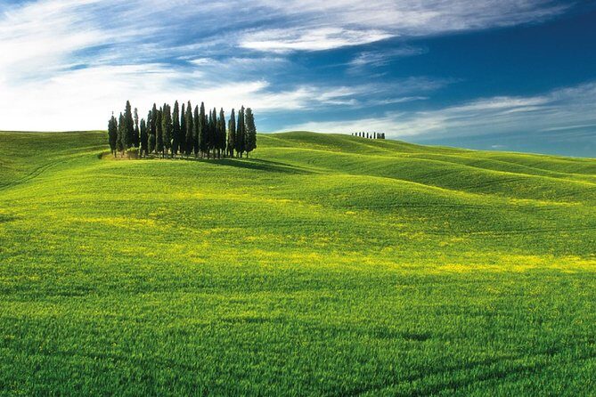 San Gimignano, Chianti, and Montalcino Day Trip from Siena - Who should book this day trip from Siena?