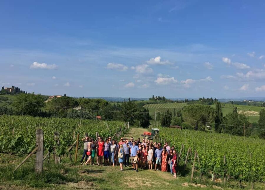 San Gimignano: Premium Wine Tour with Lunch - Vineyards and cellar: how the wine production cycle clicks