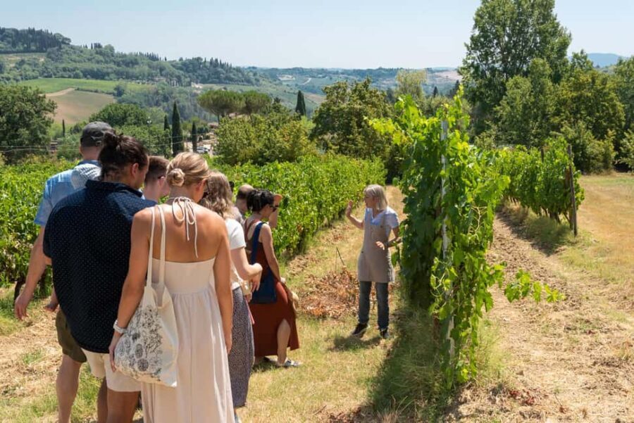 San Gimignano: Premium Wine Tour with Lunch - The 5-wine tasting: Vernaccia first, then reds with character