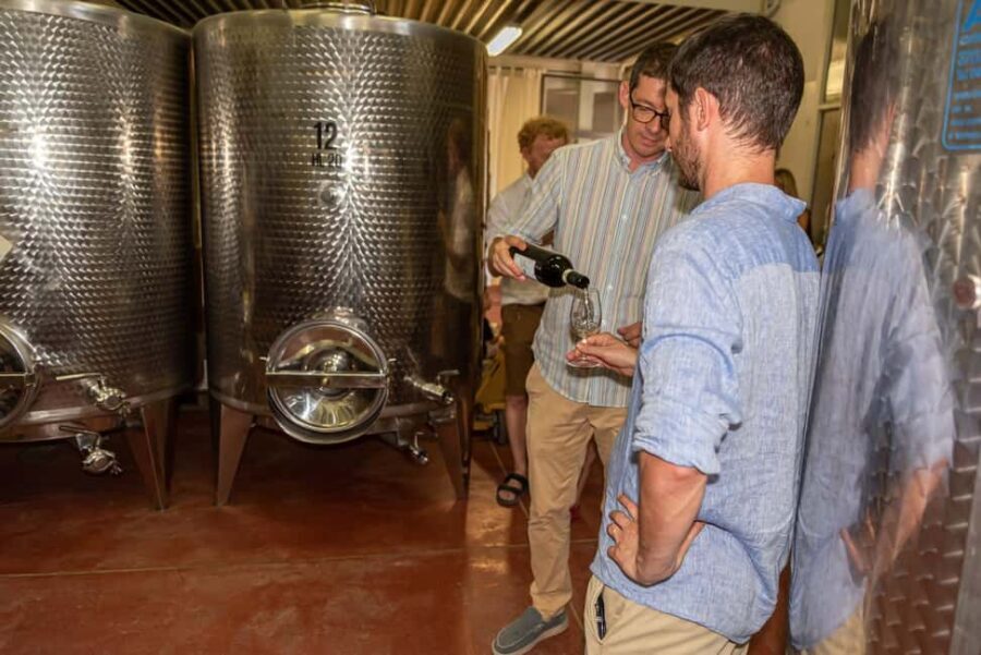 San Gimignano: Premium Wine Tour with Lunch - How much does it cost, and what are you really paying for?