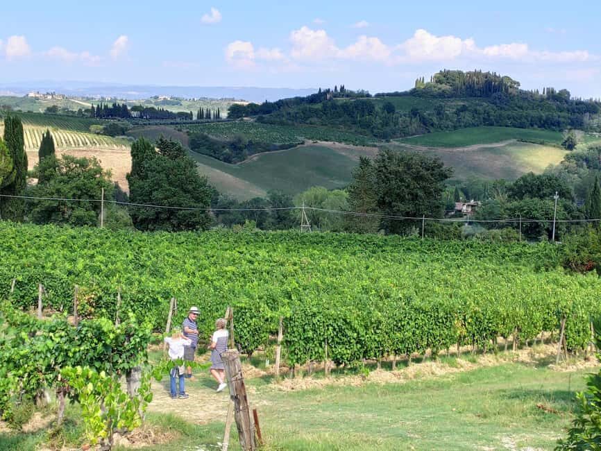 San Gimignano: Premium Wine Tour with Lunch - Best for wine-curious couples, small groups, and first-timers