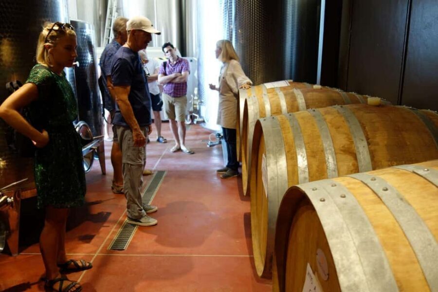 San Gimignano: Premium Wine Tour with Lunch - Timing and comfort: small choices that make the day better