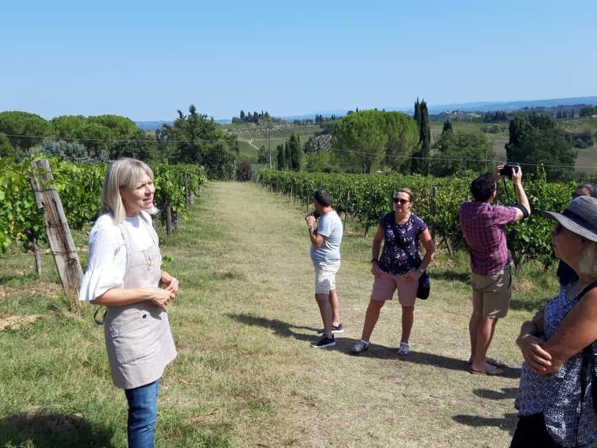 San Gimignano: Premium Wine Tour with Lunch - Where you meet and why location matters