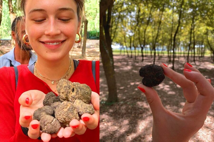 San Gimignano: Truffle Hunting with Lunch & Wine Tasting - FAQ