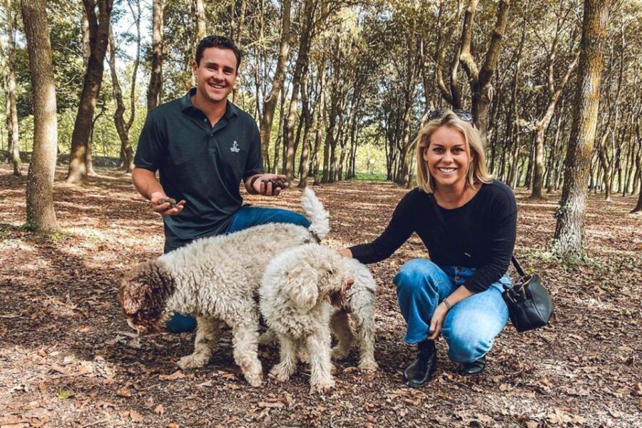 San Gimignano: Truffle Hunting with Lunch & Wine Tasting - The Truffle Hunt with Sniffer Dogs: Learning Black and White Truffles the Practical Way