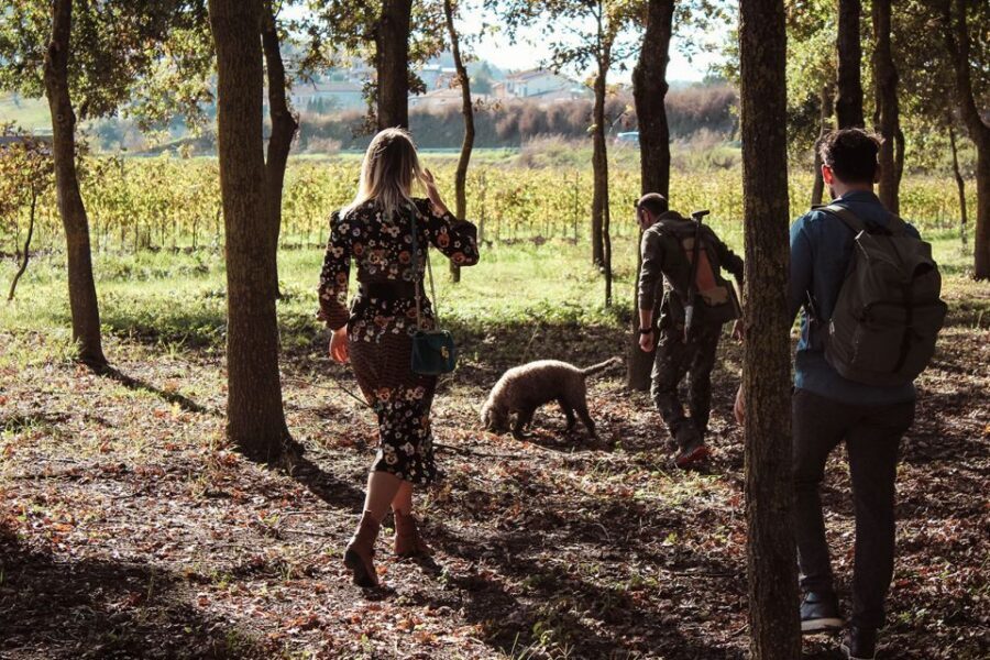 San Gimignano: Truffle Hunting with Lunch & Wine Tasting - Price, What’s Included, and What’s Not (So You Don’t Get Surprised)
