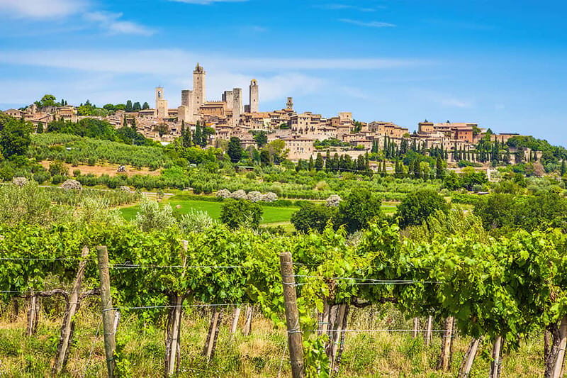 San Gimignano: Wine and Oil Tasting with Tuscan Appetizers - Should you book this San Gimignano wine and oil tasting?