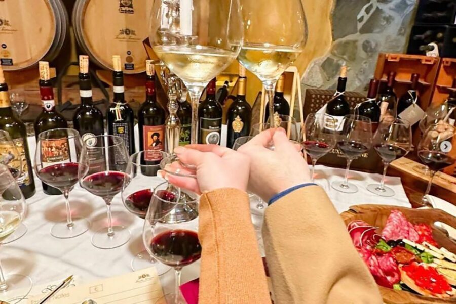 San Gimignano: Wine and Oil Tasting with Tuscan Appetizers - Practical planning tips for San Gimignano day logistics