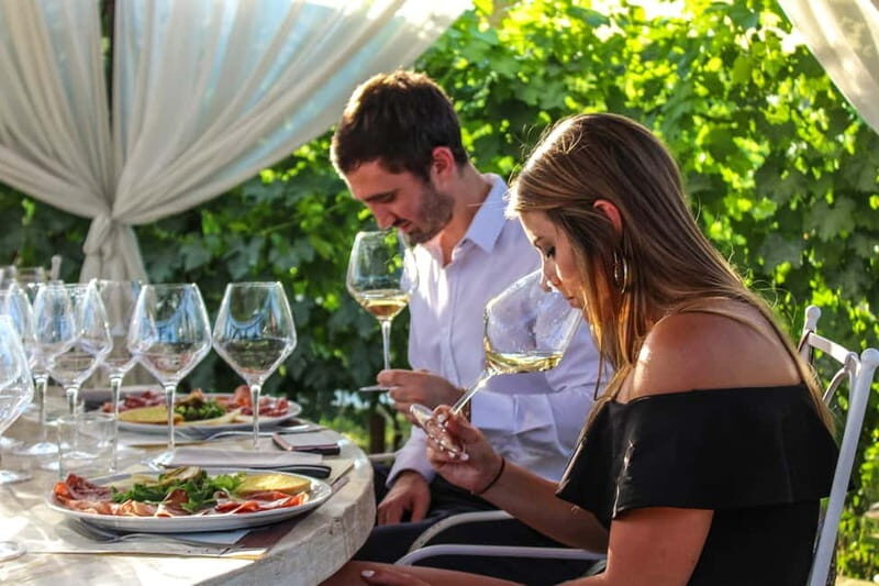 San Gimignano: Wine and Oil Tasting with Tuscan Appetizers - What you actually taste: reds, whites, olive oil, and balsamic
