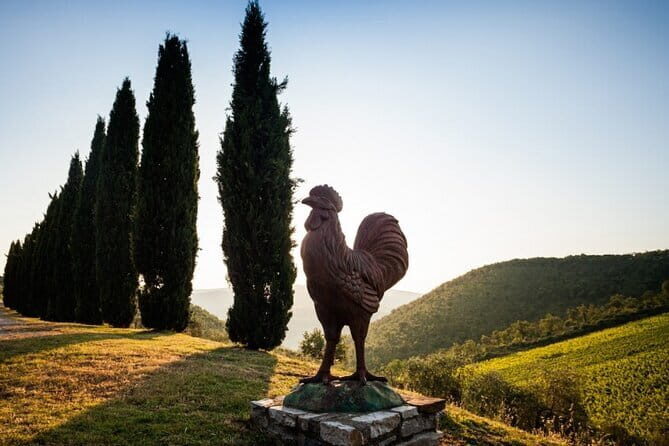 Semi Private Deep Wine Chianti and San Gimignano from Florence - Quick highlights worth planning for