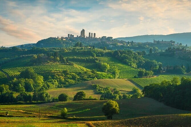 Semi Private Deep Wine Chianti and San Gimignano from Florence - San Casciano in Val di Pesa: farmhouse lunch and cellar time