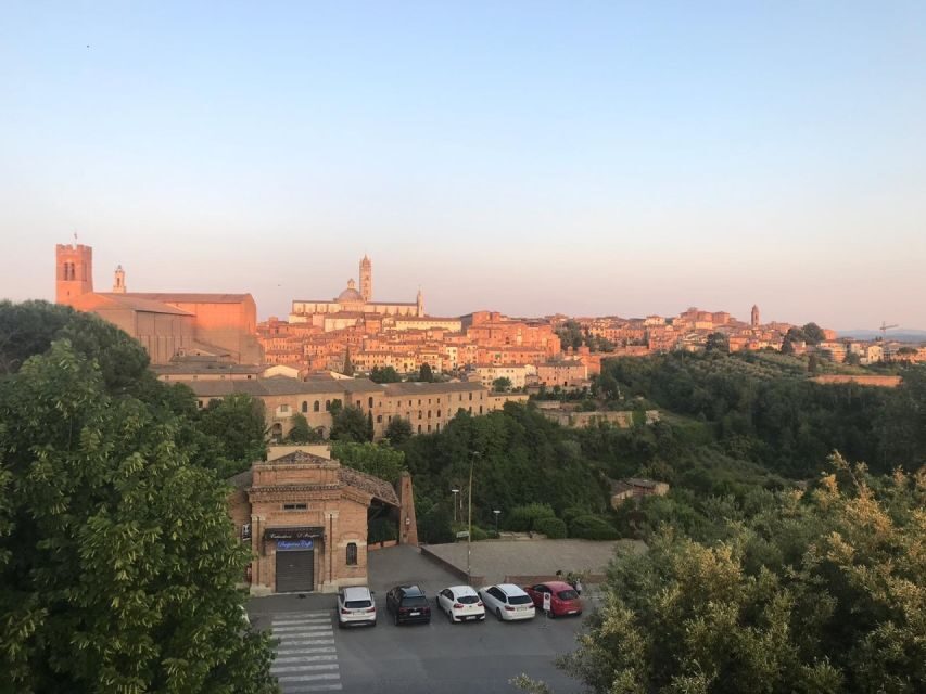Siena: 3h Private City Walking Tour with Optional Cathedral - Sanctuary stops, baptistery views, and the Duomo approach