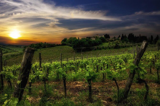 Siena: A Wine Tour and Tasting Experience - Stop 3 in the tasting room: Four wines, and a method for reading them