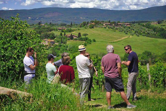 Siena: A Wine Tour and Tasting Experience - The light-lunch pairing: Wine, seasonal food, and organic olive oil