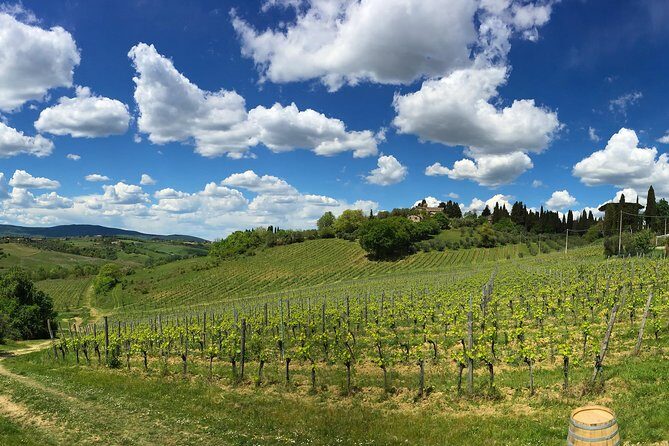Siena: A Wine Tour and Tasting Experience - Price and value: what you’re paying for at $102.84
