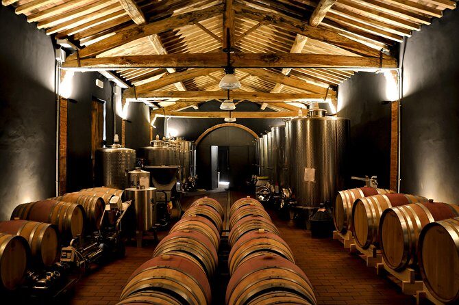 Siena: A Wine Tour and Tasting Experience - Stop 2 in the cellar: From fermentation steps to quality decisions
