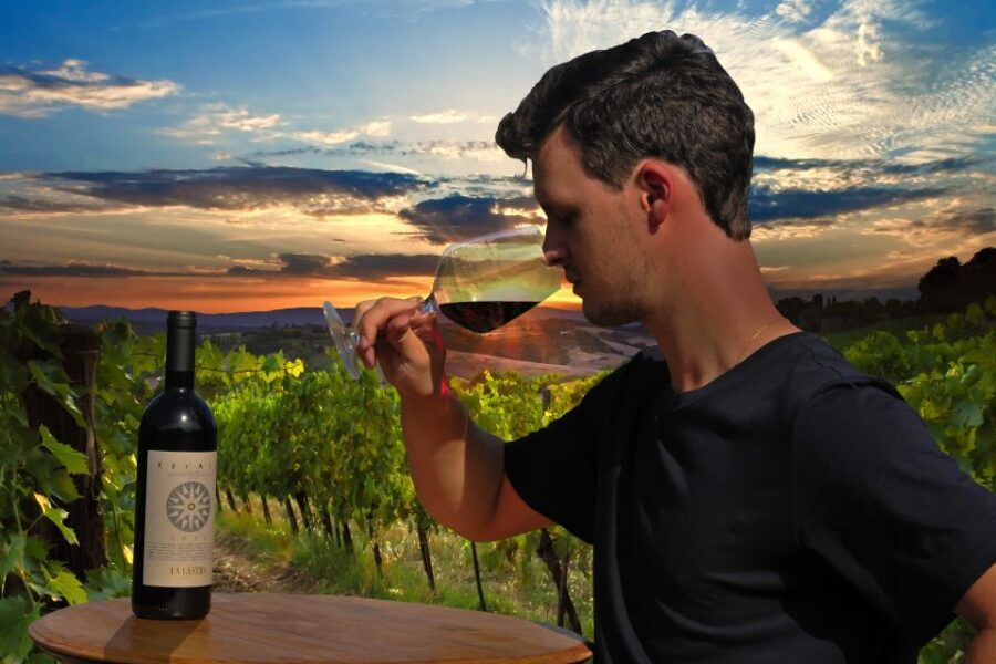Siena: Educational Wine Tour & Tasting - Organic vineyards near Siena: why this tour makes sense