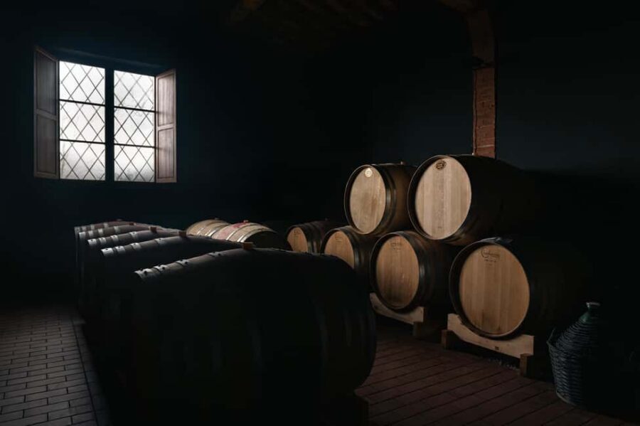 Siena: Educational Wine Tour & Tasting - Light lunch in Tuscany: food-and-wine pairing that actually teaches