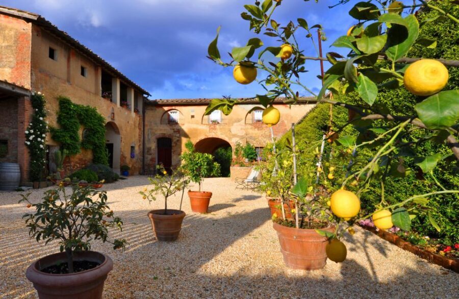 Siena: Educational Wine Tour & Tasting - Price and value: what $100 buys you in a 3-hour window