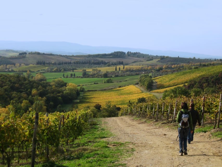 Siena: Half-day Guided Hike to Monteriggioni - Walking the Via Francigena Instead of Just Passing Through Siena
