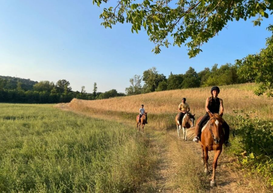 Siena: Horseback Adventure in the Tuscan Countryside - Price and value: why around $79.30 can make sense
