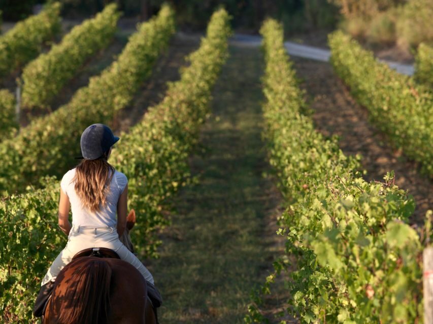 Siena: Horseback Adventure in the Tuscan Countryside - Arriving at Scuderia Melissa Cipriani: your first steps to Siena on horseback