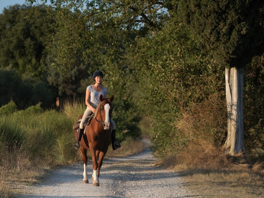 Siena: Horseback Adventure in the Tuscan Countryside - Optional winery or farm stops: where Tuscany turns into a full day