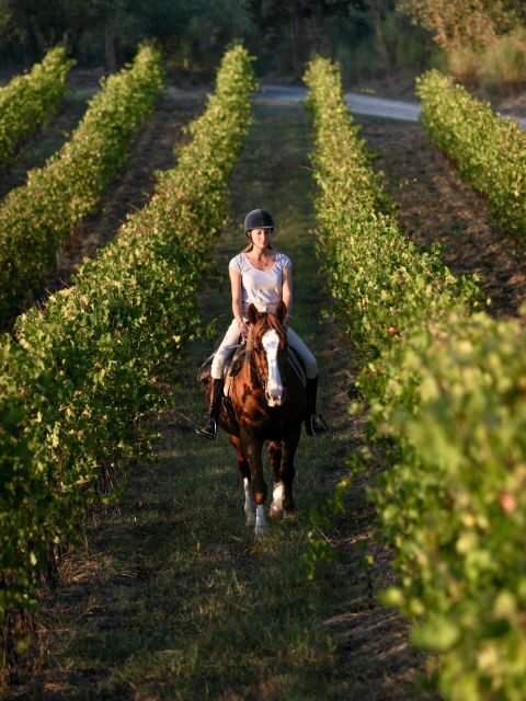 Siena: Horseback Adventure in the Tuscan Countryside - Languages: you won’t be guessing what’s happening
