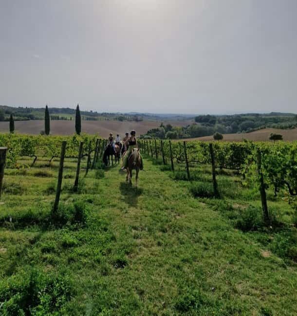 Siena: Horseback Riding Tour in the Tuscany Countryside - What makes this ride worth your money