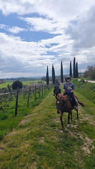 Siena: Horseback Riding Tour in the Tuscany Countryside - Price, Value, and How to Think About $74.31