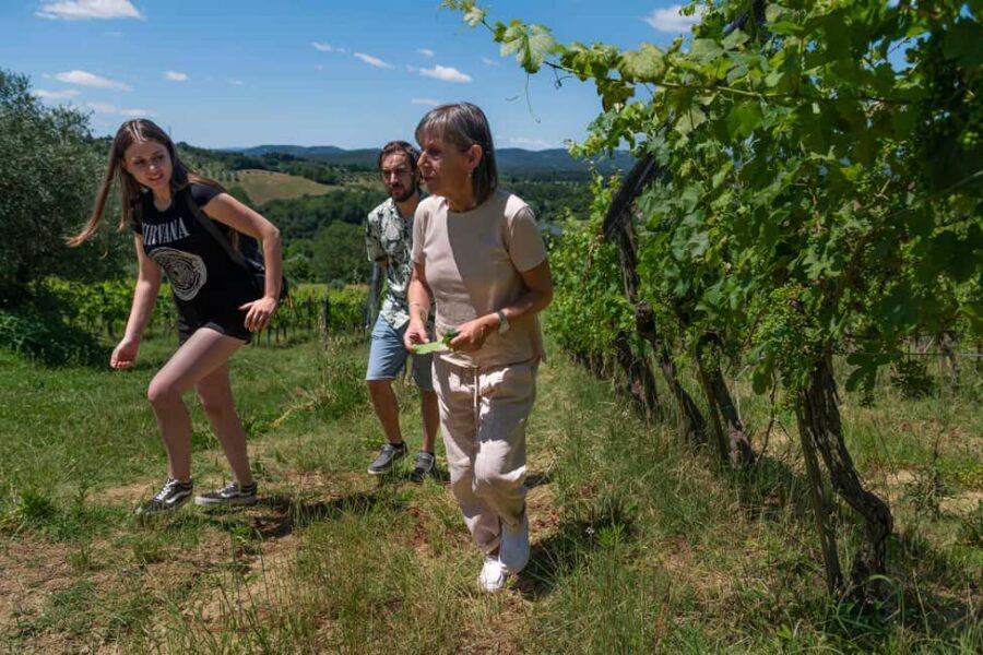 Siena: Organic Winery Tour and Wine Tasting - Key highlights to expect on this Siena wine tour