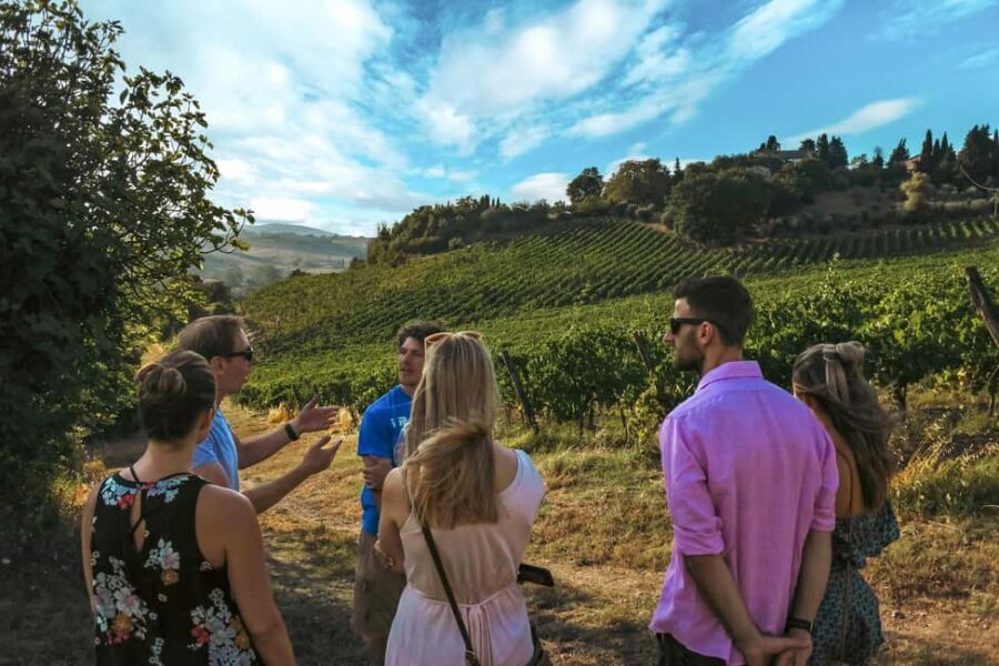 Siena: Organic Winery Tour and Wine Tasting - From vineyards to the cellar: the tour’s “science you can taste”