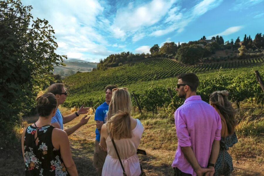 Siena: Organic Winery Tour and Wine Tasting - The 5-wine tasting and why the food pairing is part of the show