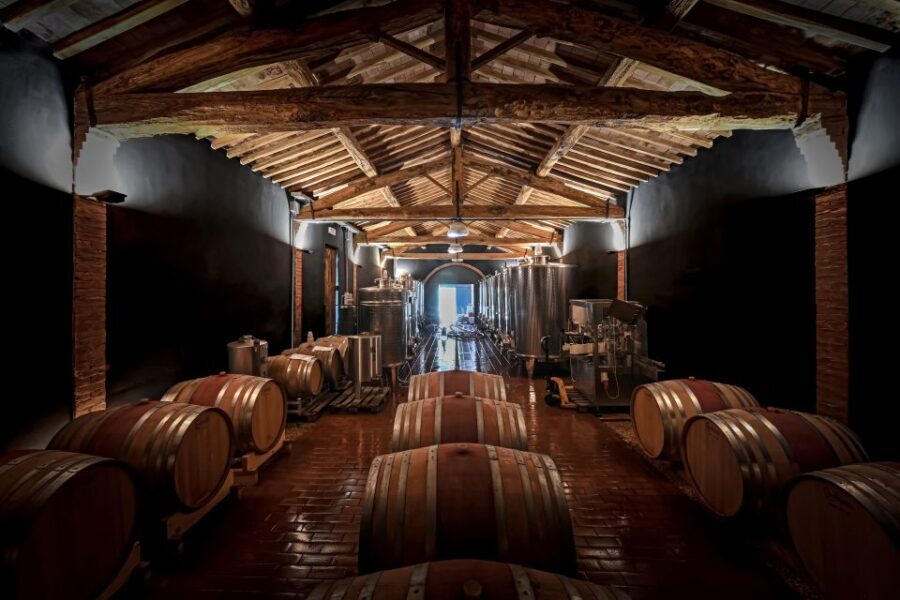 Siena: Organic Winery Tour and Wine Tasting - Who should book this Siena organic winery tour?