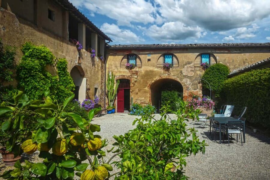 Siena: Organic Winery Tour and Wine Tasting - Organic Vineyard Setting Near Siena: what the location really gives you