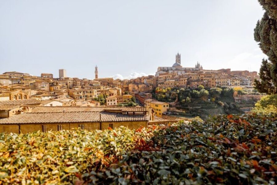 Siena: Private Custom Tour with a Local Guide - Key highlights for your Siena walk